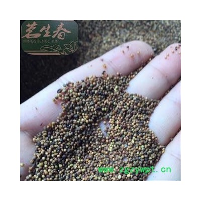 菟丝子水洗统货 产地 内蒙古自治区 茗生春药材总公司 一手货源 7天无理由退换