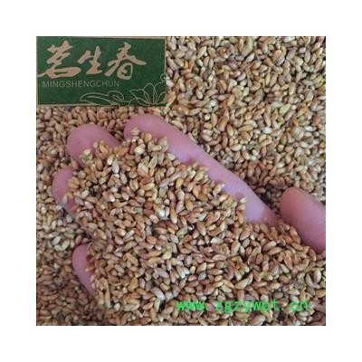 柏子仁壳 好统货 新货 颜色好 无虫蛀 产地 山东省