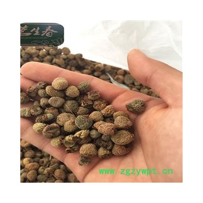 覆盆子 覆盆子选货 过6个筛 茗生春药材总公司 一手货源 7天无理由退换