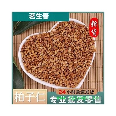 柏子仁 柏子仁3户90%未脱仁 产地 山东省