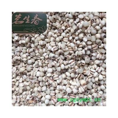 小薏苡仁 98选货 茗生春药材总公司 一手货源 7天无理由退换