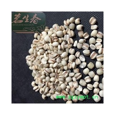 薏米 国产薏苡仁98米 产地 贵州省 茗生春药材总公司 一手货源 一天无理由退换