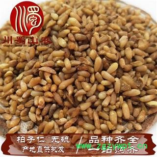 柏子仁无硫选货散装1公斤起批批发产地直供川蜀山农中药材批发