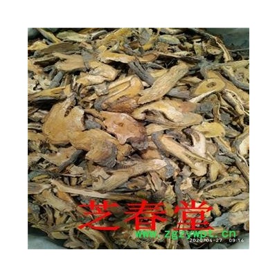 中药材批发虎杖 各种规格虎杖 干净过筛无杂质无硫虎杖 量大从优