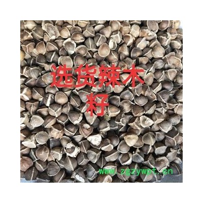 辣木籽 辣木籽中粒货 产地 海外