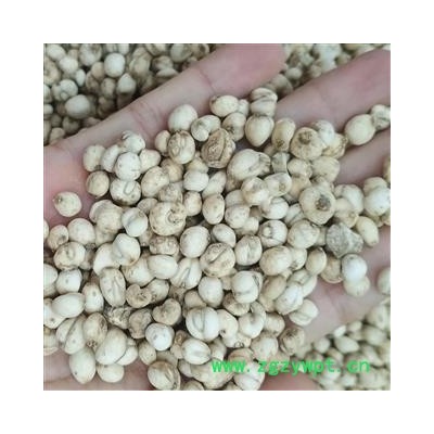 贝母 平贝母 小平贝 直径0.6-0.8厘米  精选小平贝 产地 吉林省
