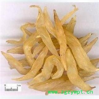 天冬 选 产地 广西 库存 100公斤可售 批发零售各种中药材 花茶 矿石