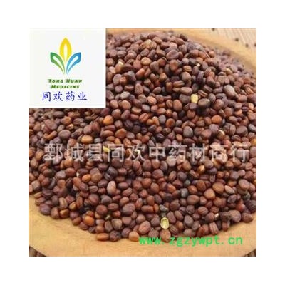 【炒莱菔子】@【同欢药材】中药材批发供应  规格齐全 量大从优 产地 山东省