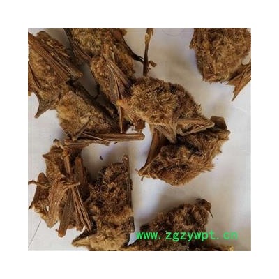 九盛堂中药材 蝙蝠 天鼠 挂鼠 天蝠 老鼠皮翼 飞鼠