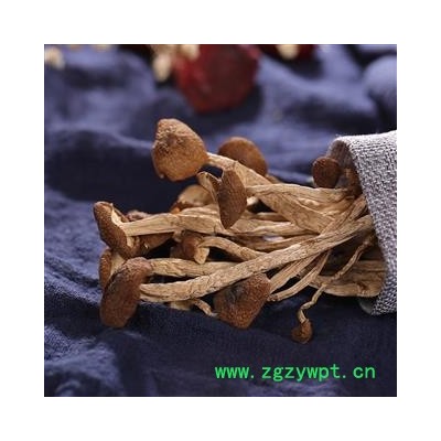 九盛堂 茶树菇 新货