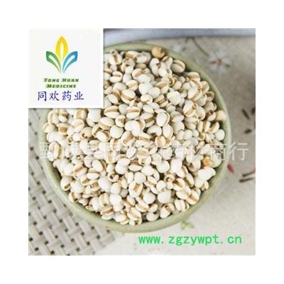 【大粒薏苡仁】@【同欢药材】中药材批发供应  规格齐全 量大从优  产地 海外