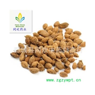 【进口圆果壳砂仁】@【同欢药材】中药材批发供应  规格齐全 量大从优  产地 海外