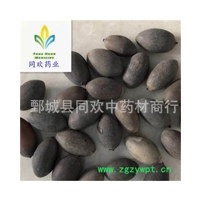 【选货石莲子】@【同欢药材】中药材批发供应  规格齐全 量大从优  产地 湖南省