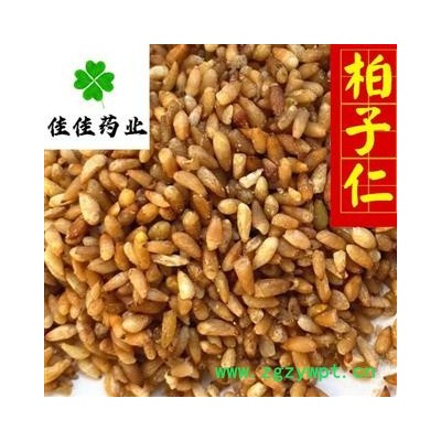 柏子仁 柏子仁选货98货 一分价一分货 供应各类中药材 产地 山东省