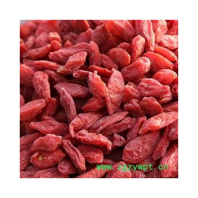 枸杞子 精选 新货 颗粒大颜色好 纯干   实图拍摄 质量保证
