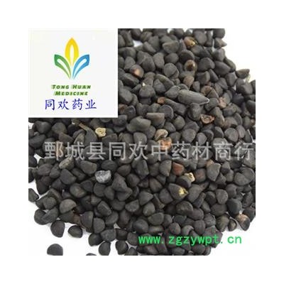 【牵牛子 黑丑】@【同欢药材】中药材批发供应  规格齐全 量大从优  产地 河南省