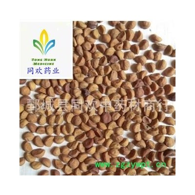 【牵牛子 白丑】@【同欢药材】中药材批发供应  规格齐全 量大从优  产地 河南省