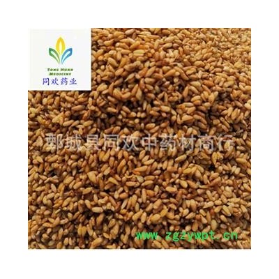 【好统货柏子仁】@【同欢药材】中药材批发供应  规格齐全 量大从优 产地 山东省