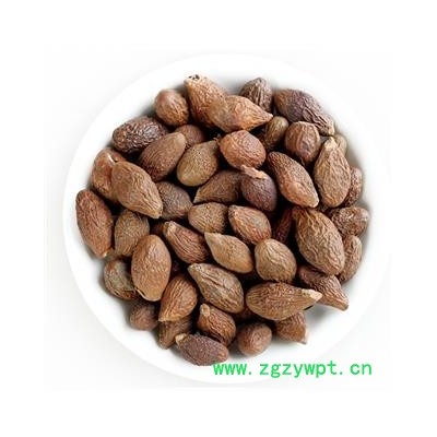 胖大海 精选大颗圆粒 新品上线 为冲销量 货好价格低