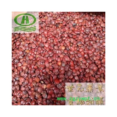 世元药业 酸枣仁 国产正品 生枣仁 山枣仁 酸枣子 棘仁