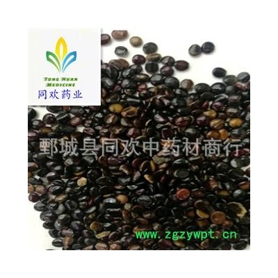 【干净枳椇子选货】@【同欢药材】中原村批发供应  规格齐全 量大从优  产地 江西省