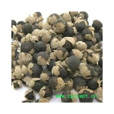 蔓荆子 统货 产地 云南省昆明市宜良县 产地直供 支持线上保障交易 安徽省冰源堂药业经营品3000余种中药材【冷背中药材】