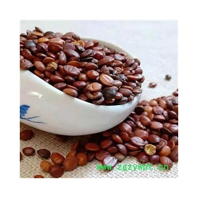 酸枣仁 统货 产地 海外印尼