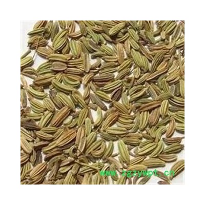 小茴香 统货 产地 甘肃省 产地直供 支持线上保障交易 安徽省冰源堂药业经营品3000余种中药材【冷背中药材】