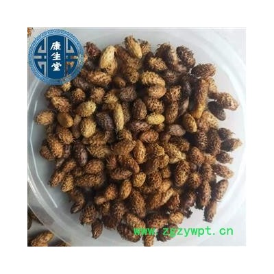 苍耳子 炒苍耳子 新货 颜色好 全干 产地 山东省