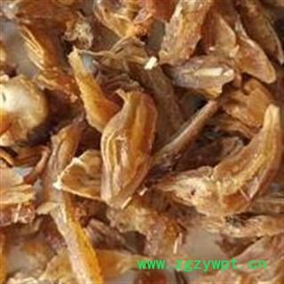 天冬 天冬 野生天冬片 市场主流 地道药材  产地 广西壮族自治区