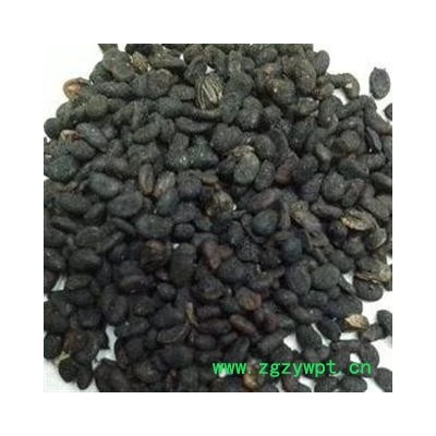 补骨脂 统货 产地 云南省玉溪市通海县 产地直供 支持线上保障交易 安徽省冰源堂药业经营品3000余种中药材【冷背中药材】