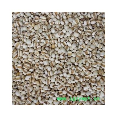 薏苡仁 国产薏苡仁 产地 贵州省