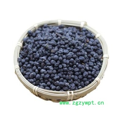 女贞子 女贞子圆果净货 产地 陕西省秦岭山区