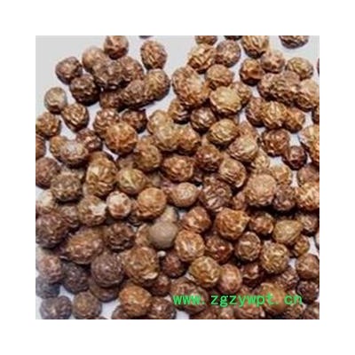 梧桐子 统货 产地 河北省 正品 包含量 本店经营品3000余种中药材冷背中药材【安徽省冰源堂药业】