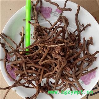 茜草 选 产地 河南省平顶山市汝州市