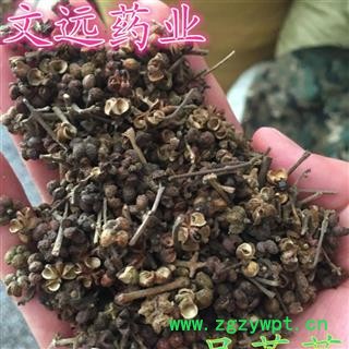 吴茱萸 开花 大花吴茱萸  产地 湖北省襄阳市市辖区