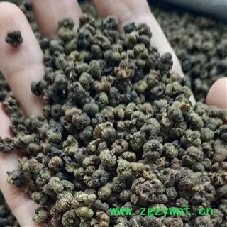 吴茱萸 吴茱萸中大花净货  气味浓 1000克/袋 产地 江西省