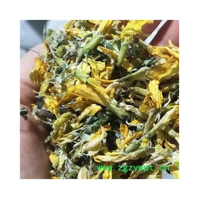 吉康药业金雀花 阳雀花 生血草 一颗血 锦鸡儿 阳雀花 黄棘今年新货颜色好