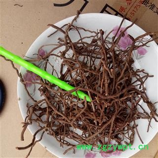 茜草 选小 产地 河南省平顶山市汝州市