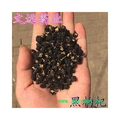 黑枸杞 中统 野生 产地 青海省