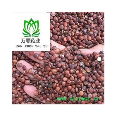 国产炒酸枣仁选货 质量好 价格低  产地 山东省