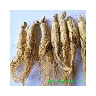 人参 生晒参35支 国药堂 专注品质 产地 吉林省