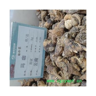 玛咖 选货 产地 云南省丽江市永胜县
