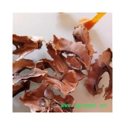分心木 分心木茶用 颜色好 产地 新疆维吾尔自治区