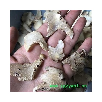 白芨 白及片  产地 云南省丽江市宁蒗彝族自治县