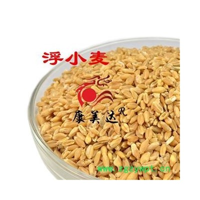 浮小麦 统货 产地 河北省 凯捷中药