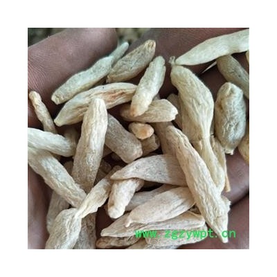 麦冬 川麦冬 选 产地 四川省 国药堂 专注品质