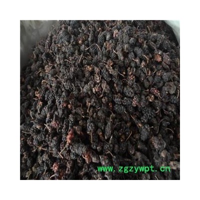桑葚子 桑椹统货药用抓方 产地 河南省 凯捷中药