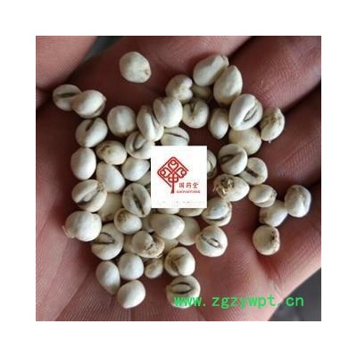 贝母 薏米大小 选 新货 纯干货 国药堂 专注品质 产地 吉林省