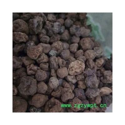 木天蓼子 虫瘿木天蓼 统个 产地 湖北省